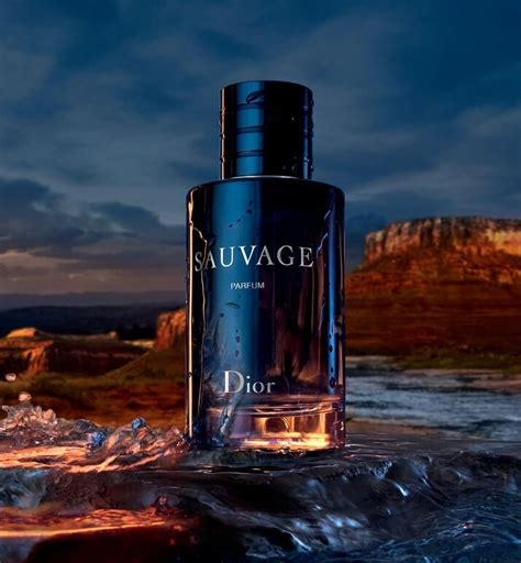 dior sauvage cena|dior sauvage edp price.